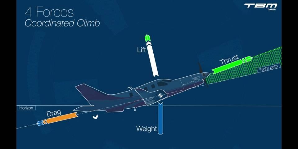 search detail image