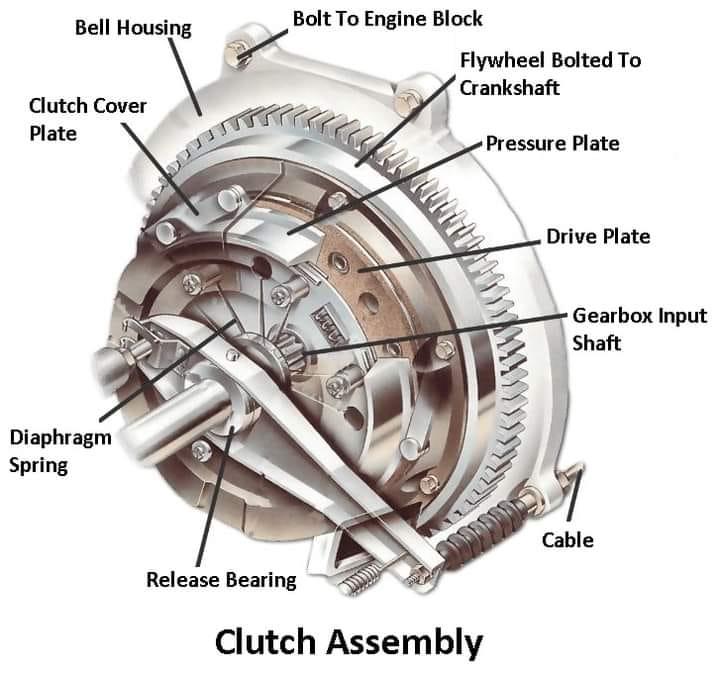 search detail image