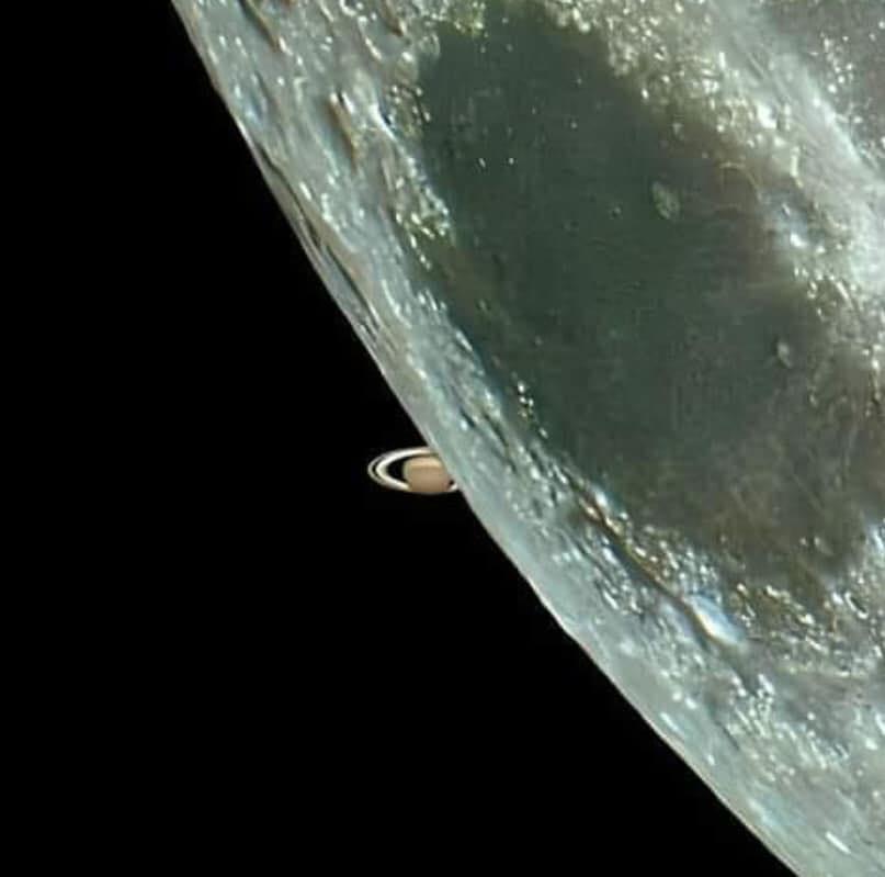 search detail image