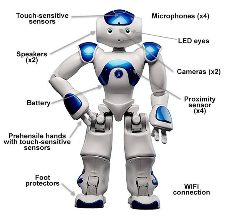 search detail image